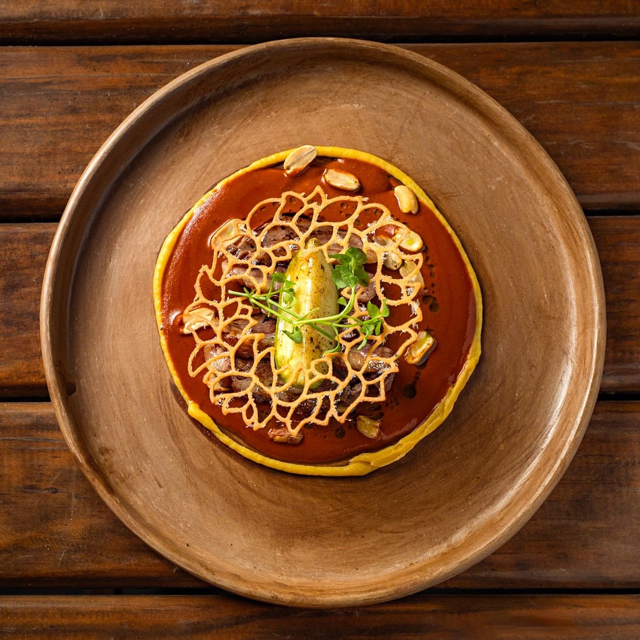 Beautifully plated dish with rich sauce and garnish, showing the finished product